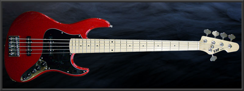 ESP AMAZE-SL5  Custom