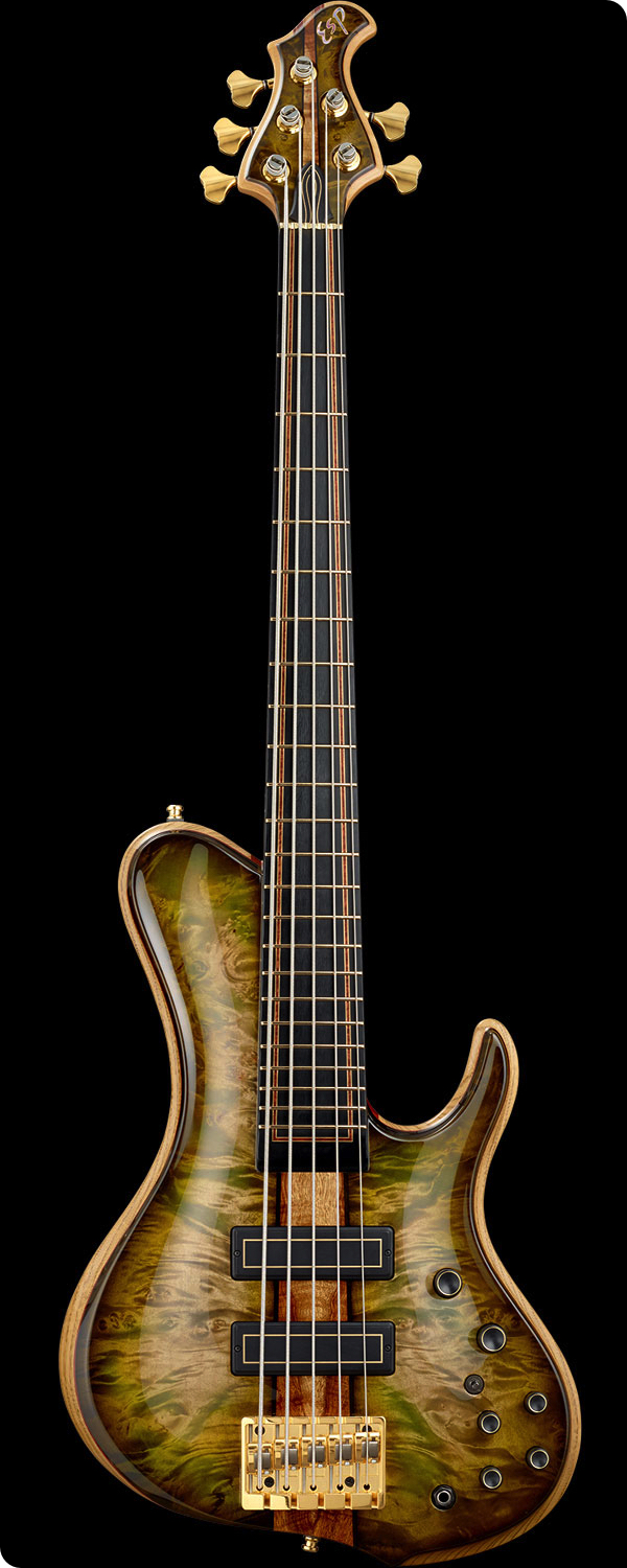 PROTO TYPE BASS ARCHED