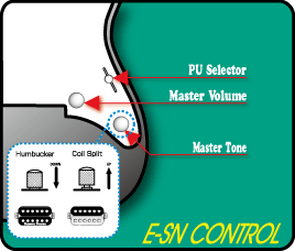 ESP | EDWARDS | E-SN-145FR