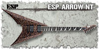 ESP-ARROW NT
