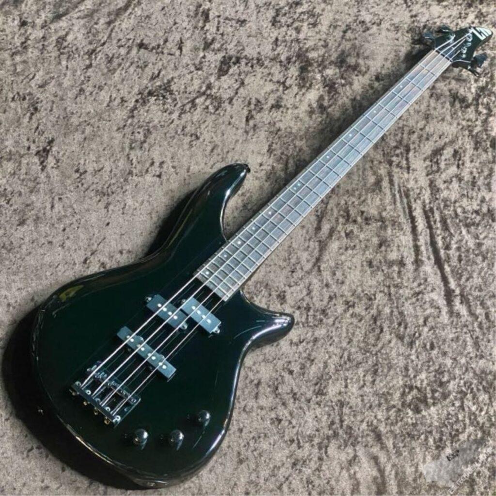 HORIZON BASS