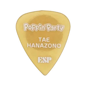 PA-PP-08 Tae