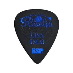 PA-RS-10 Lisa