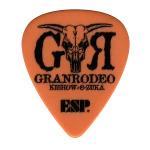 PA-GRe10-G20 ROCKSHOW