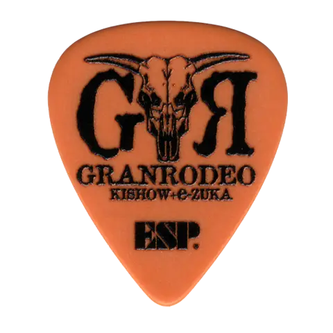 PA-GRe10-G20 ROCKSHOW