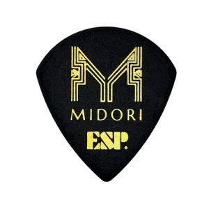 PA-LMidori10-4
