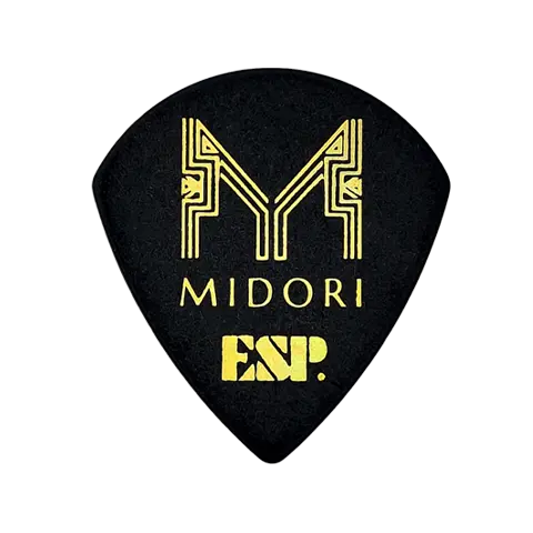 PA-LMidori10-4