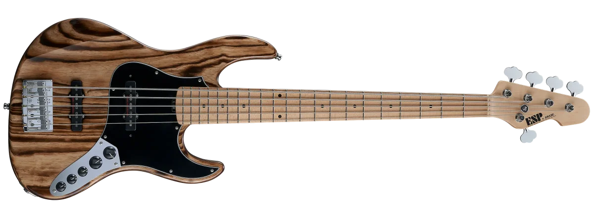 AMAZE-AS-5 | ESP GUITARS