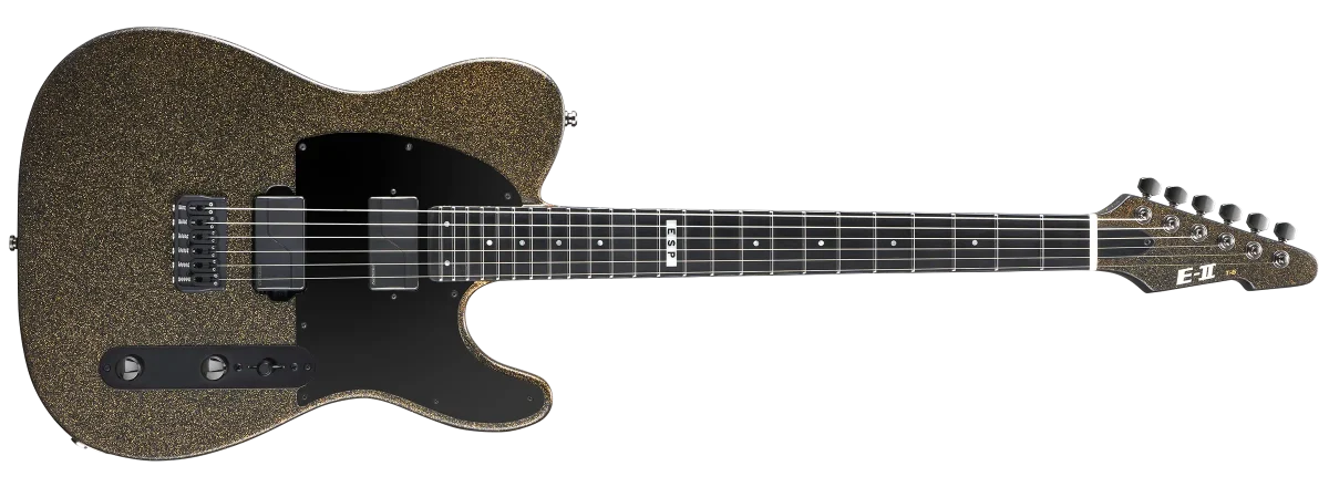 T Series | ESP GUITARS