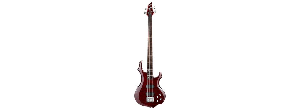 Discontinued Model | ESP GUITARS